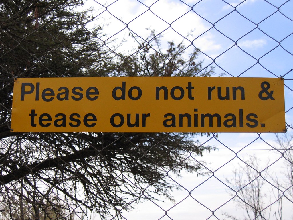 Do not run. Do not tease our animals. Nuff said. Jason & Molly Kehrer