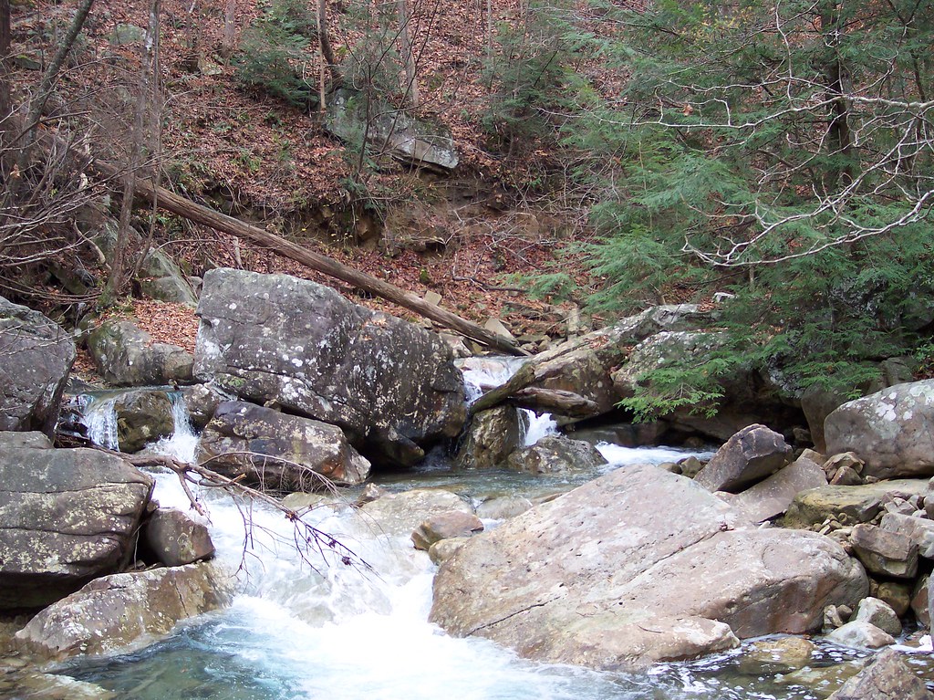 100_1192 Prentice Cooper State Forest in Chattanooga, TN N… Flickr