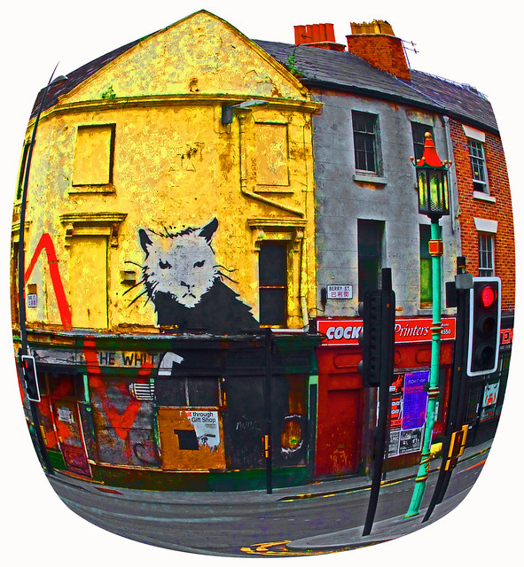 Banksy's Rat Liverpool 2010 a photo on Flickriver