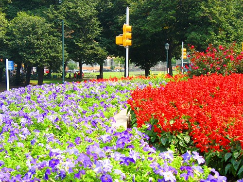 Flowers on the Parkway Benjamin Franklin Parkway in Philad… Flickr