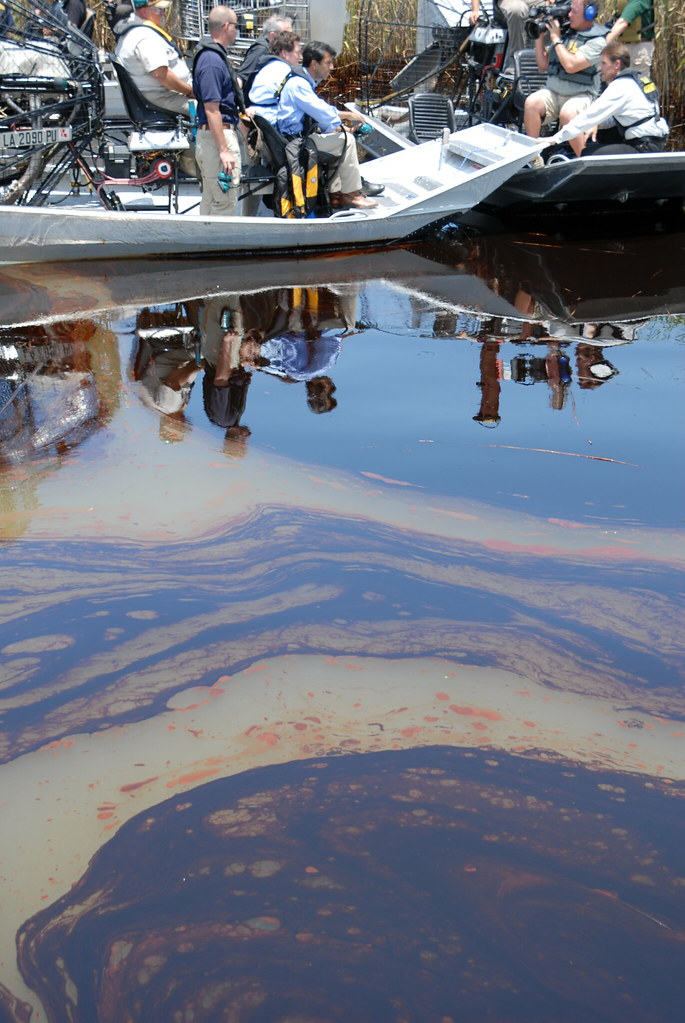 Oil Impacts PAL, May 19, 2010 Thick oil pools in the water… Flickr