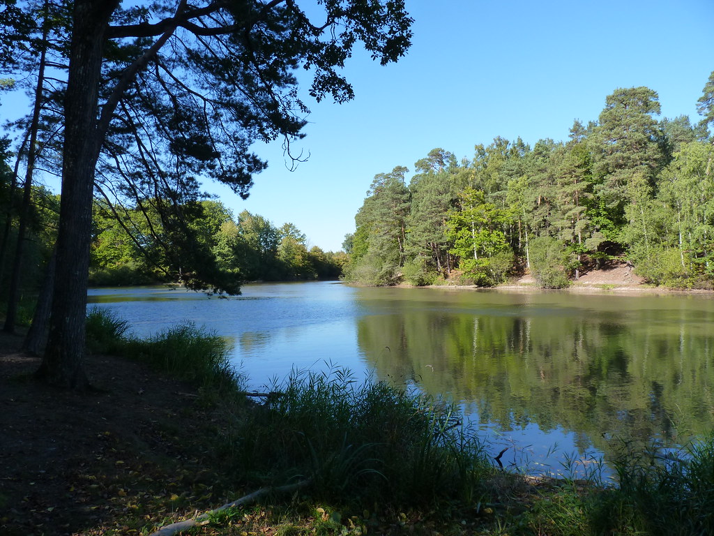 Promenade à l'étang du Etang du à … Flickr