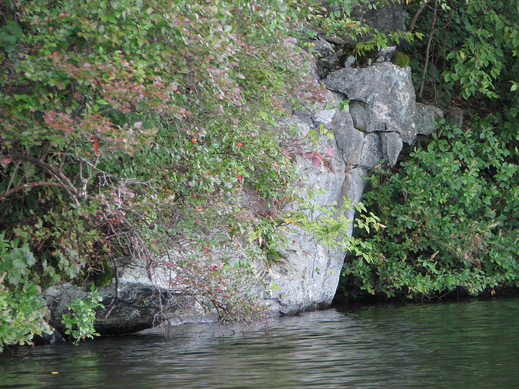 Amos Lake Stacie Flickr