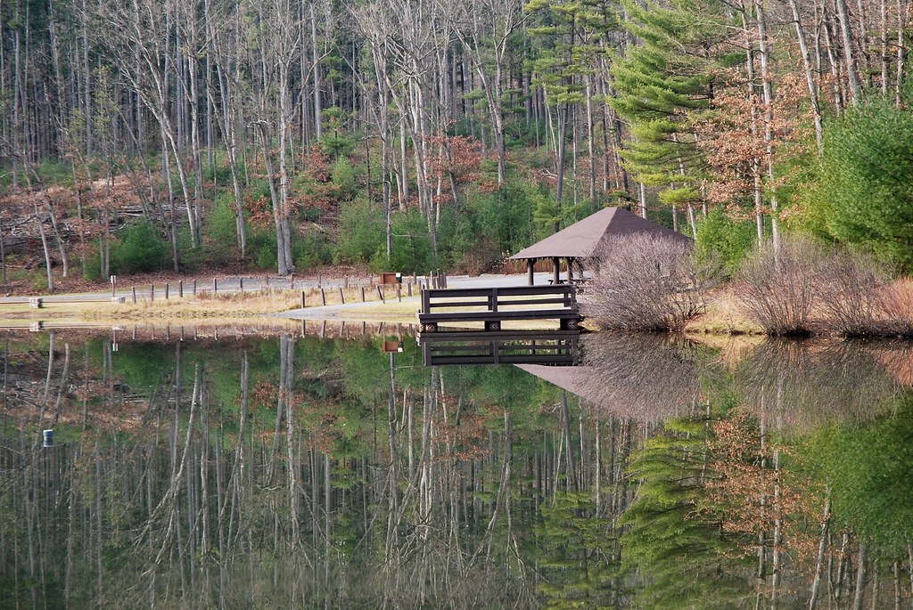 Lake Reflections Whipple Dam State Park, near State Colleg… Rob Lee