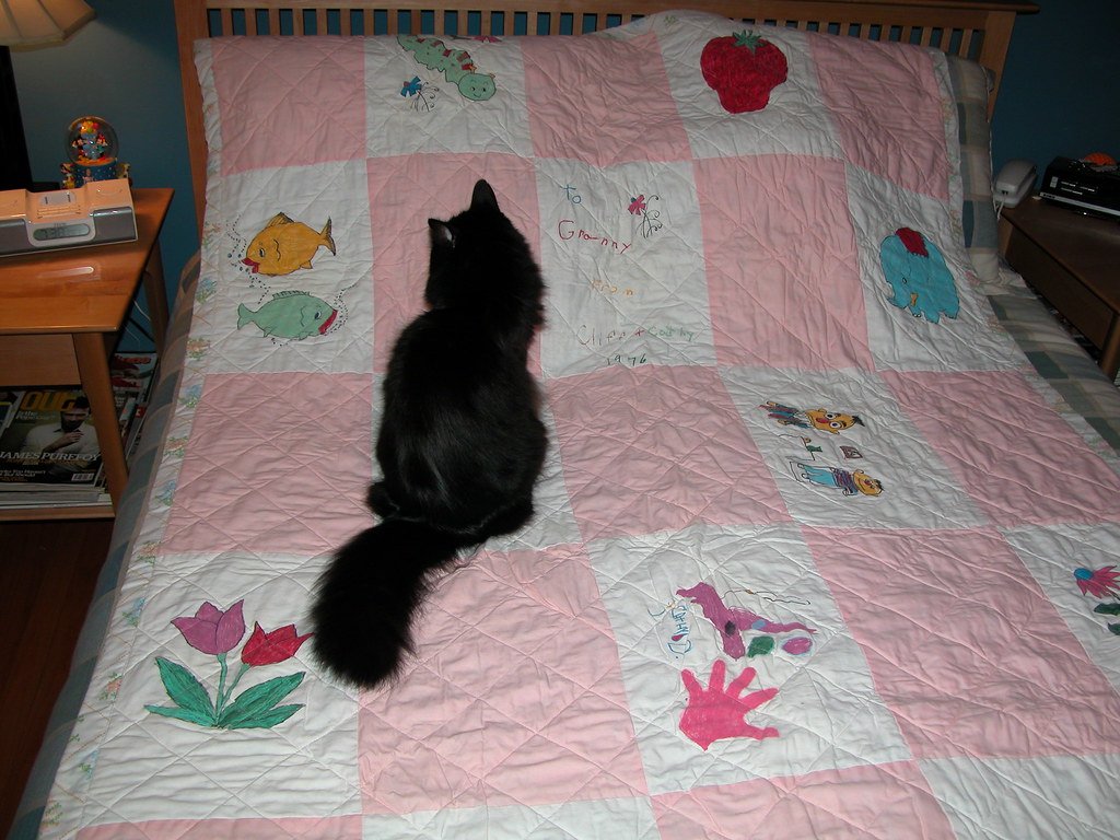 Roscoe on Quilt This quilt was made by my Mom with help fr… Flickr