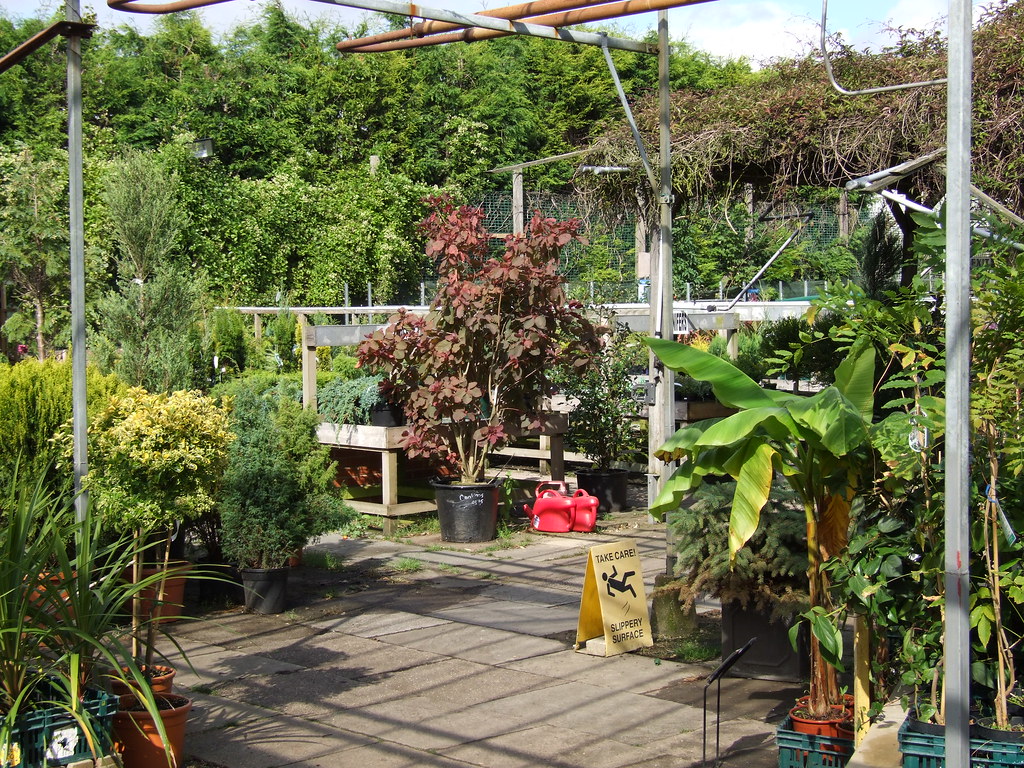 Garden Centre Colour Riot Markham Grange Garden Centre, neâ€¦ Flickr