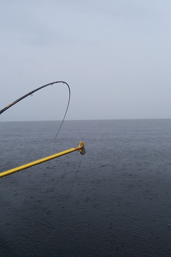 monochrome and downrigger the fishing line on the rod was … Flickr