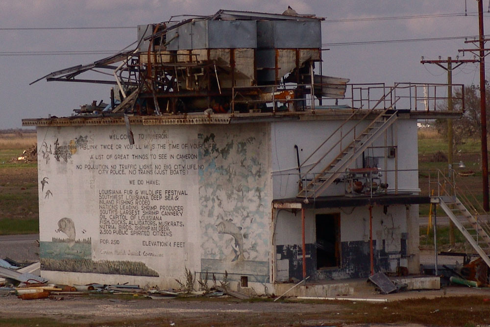 Ice Plant Cameron La. Stephen Davis Flickr