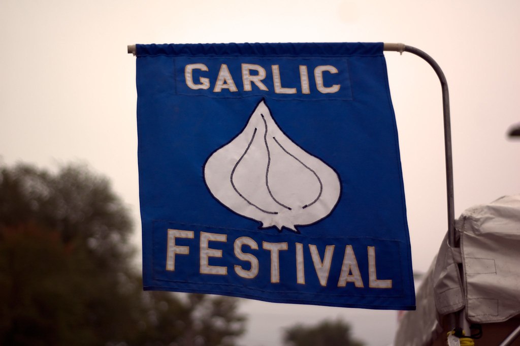 🧄 Garlic Festivals 🧄