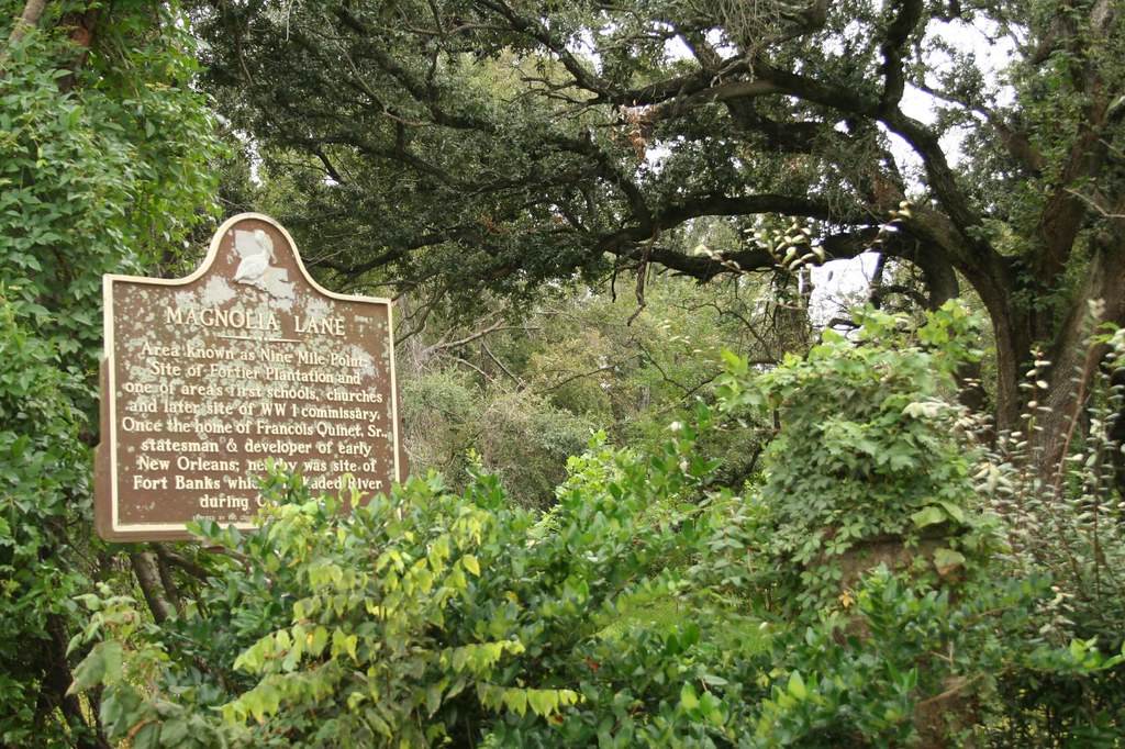 Magnolia Lane Plantation Area known as Nine Mile Point; si… Flickr