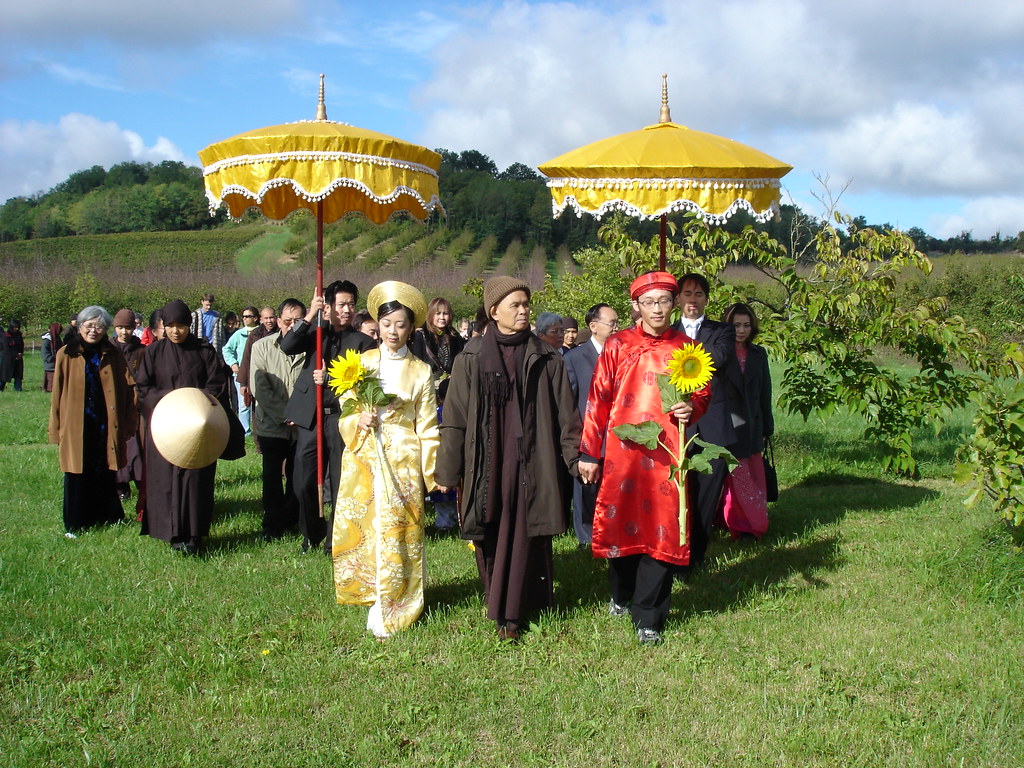 Plum Village Wallpaper 1024 x 684 jpeg 147kb. Apartamento Wallpaper