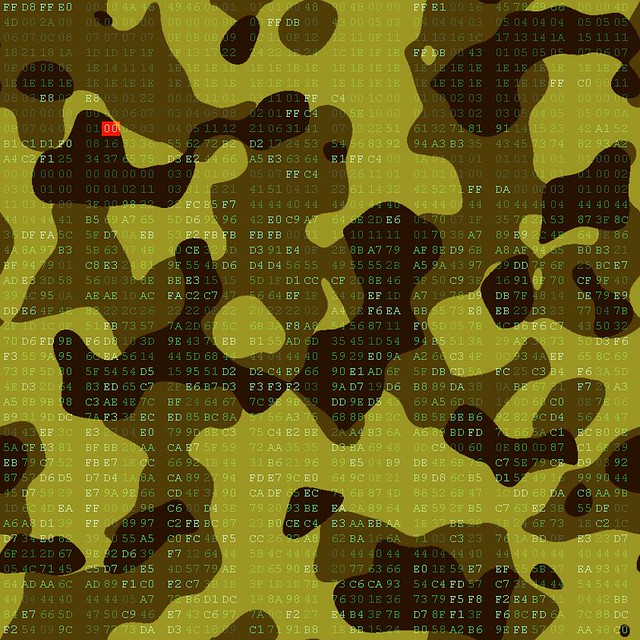 Camo Hex David Flickr