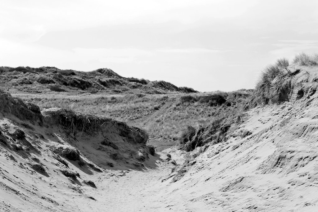 Braunton Burrows (6) Braunton Burrows Justin Beckley Flickr