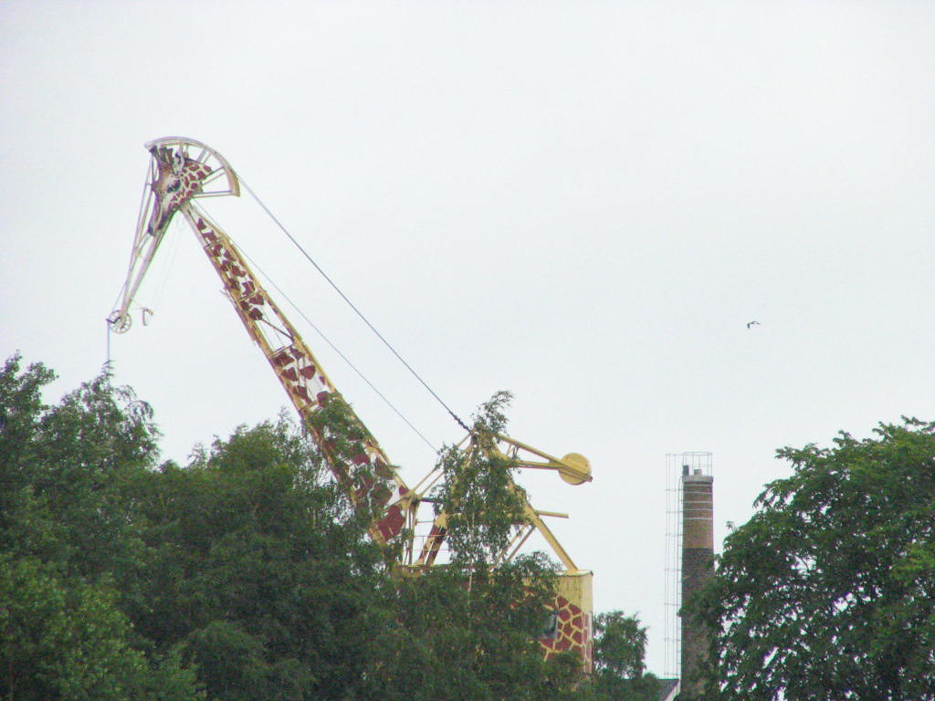 giraffecraneridething! At the amusement park "Gröna Lun… Flickr