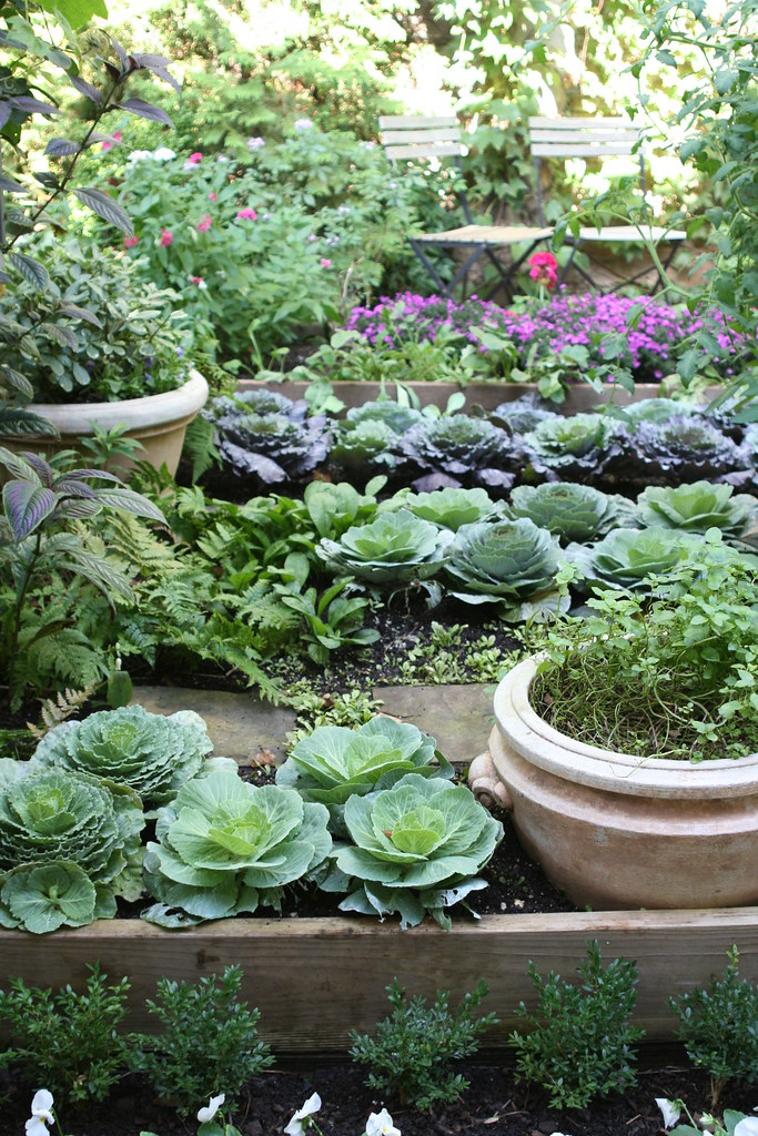 Kitchen garden at Bolen residence This raisedbed kitchen … Flickr