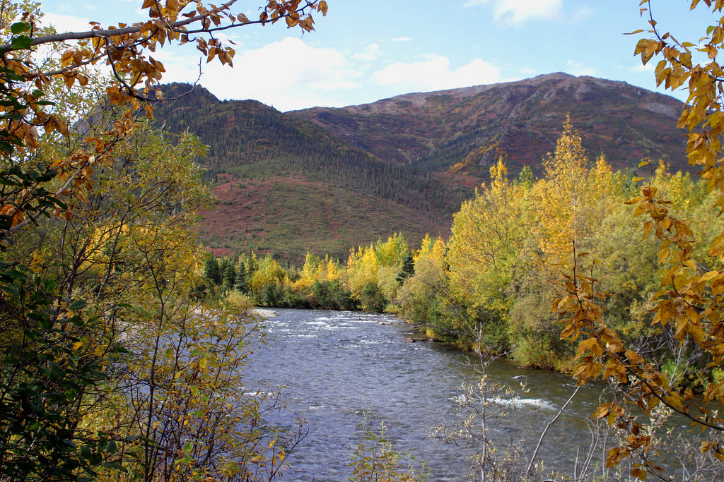 Kantishna River; AK [Lou Feltz] This pebblybottom stream … Flickr