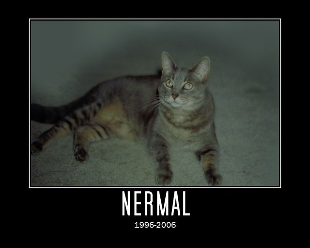 Nermal Named after the little grey cat in the Garfield com… Flickr