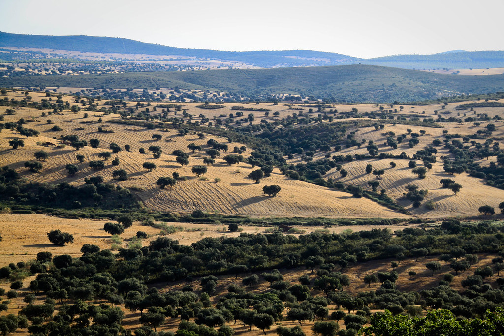 Dehesa, Extremadura Canon EOS 500D. Felix Marimon Flickr