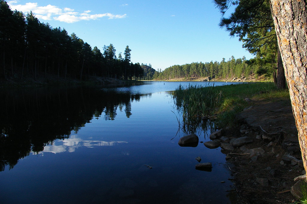 morning at Center Lake The lake at our campground in Custe… Flickr