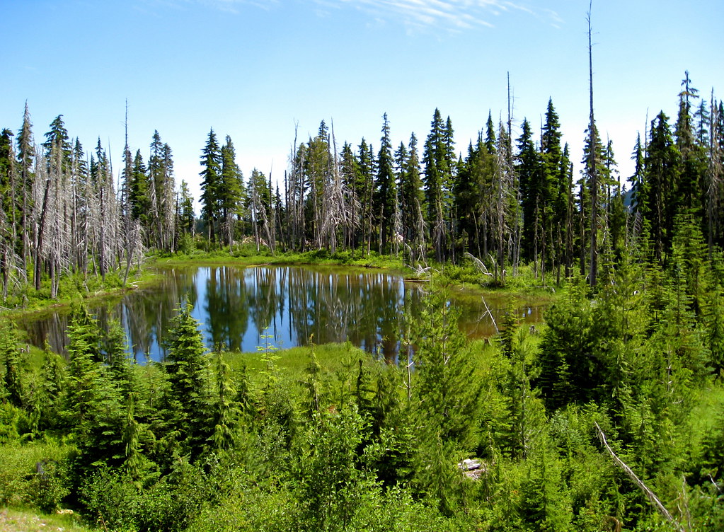 Mt. Washington Situated on Mt. Washington Vancouver Island… Flickr