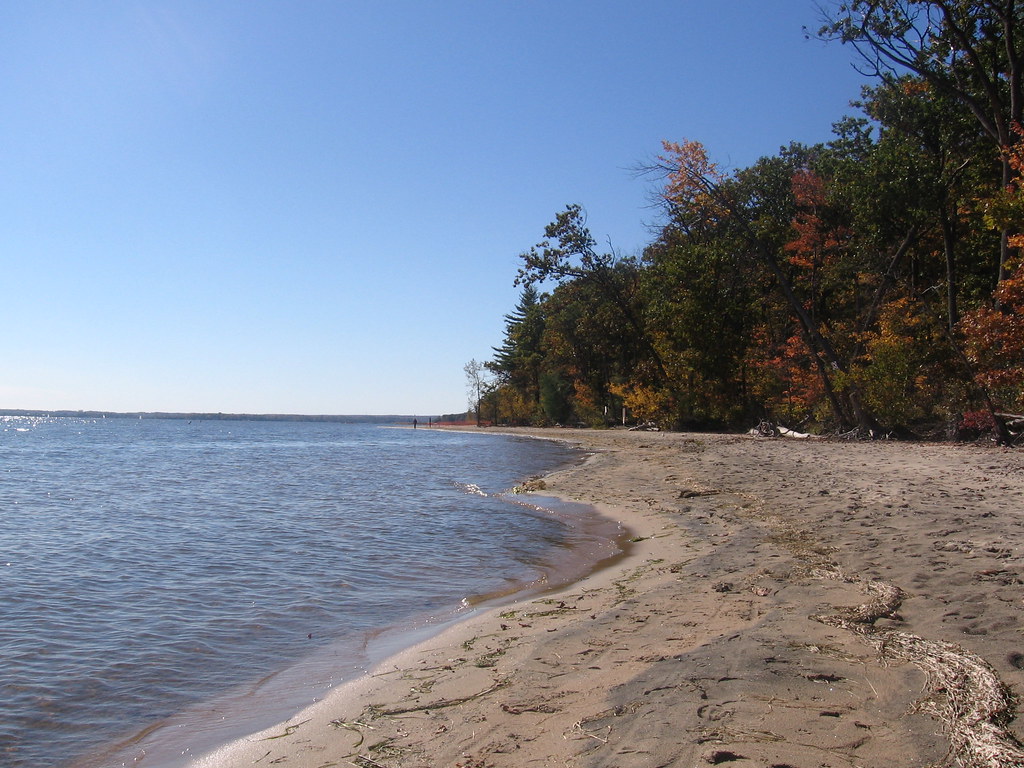 Autumn beach In Oka park, at the lake DeuxMontagnes maxim off Flickr
