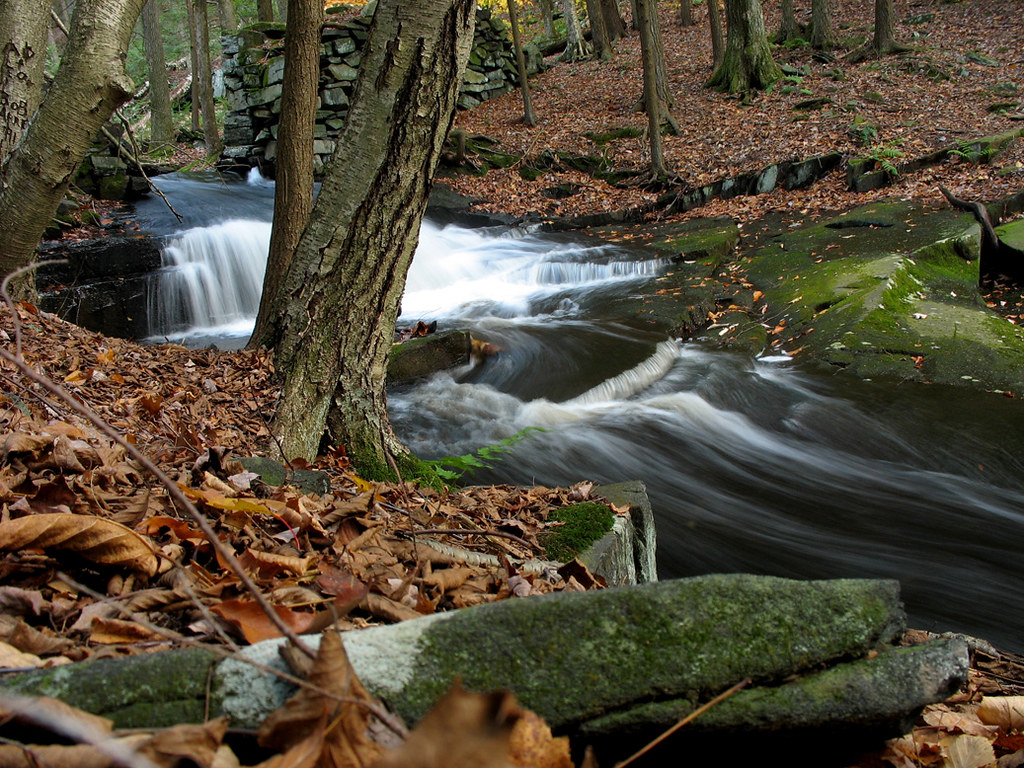 Dark Entry Forest / Dudley Town This is in the famous Dudl… Flickr