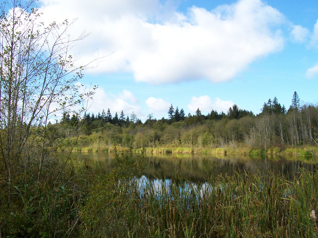 Carpenter Lake Kitsap County, Kingston Washington. October… Flickr