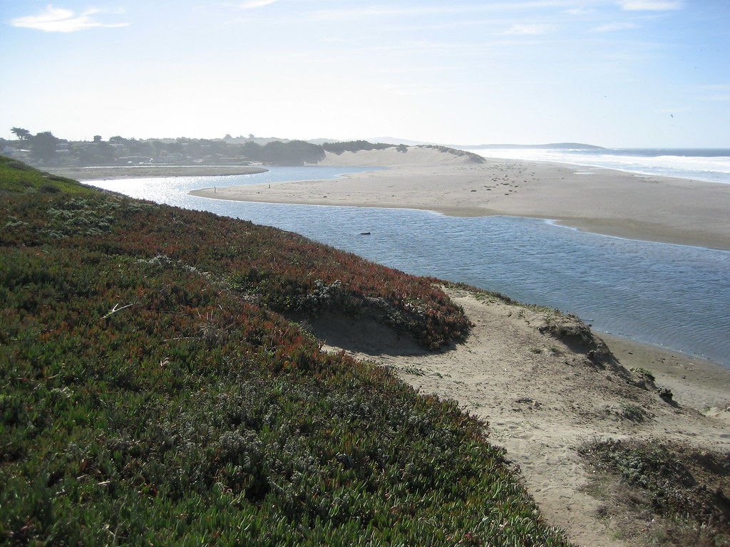 Salmon Creek Beach State Park, Bodega Bay, CA This is the … Flickr