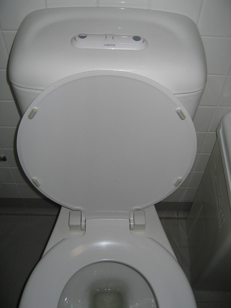 Sydney toilet study 3 two buttons too many choices Flickr