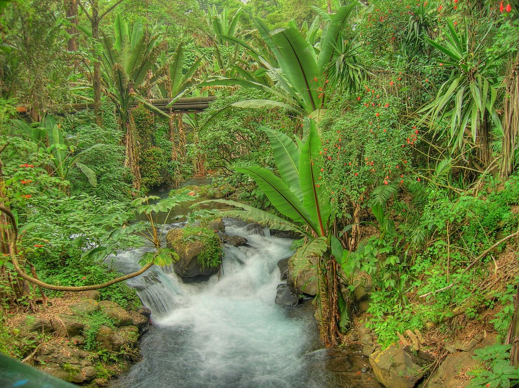 SM Copy URUAPAN 04 parque nacional de uruapan michoacan Daniel