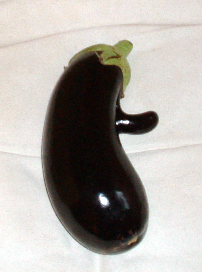 eggplant face The Jimmy Durante of the vegetable world. Amy Ross