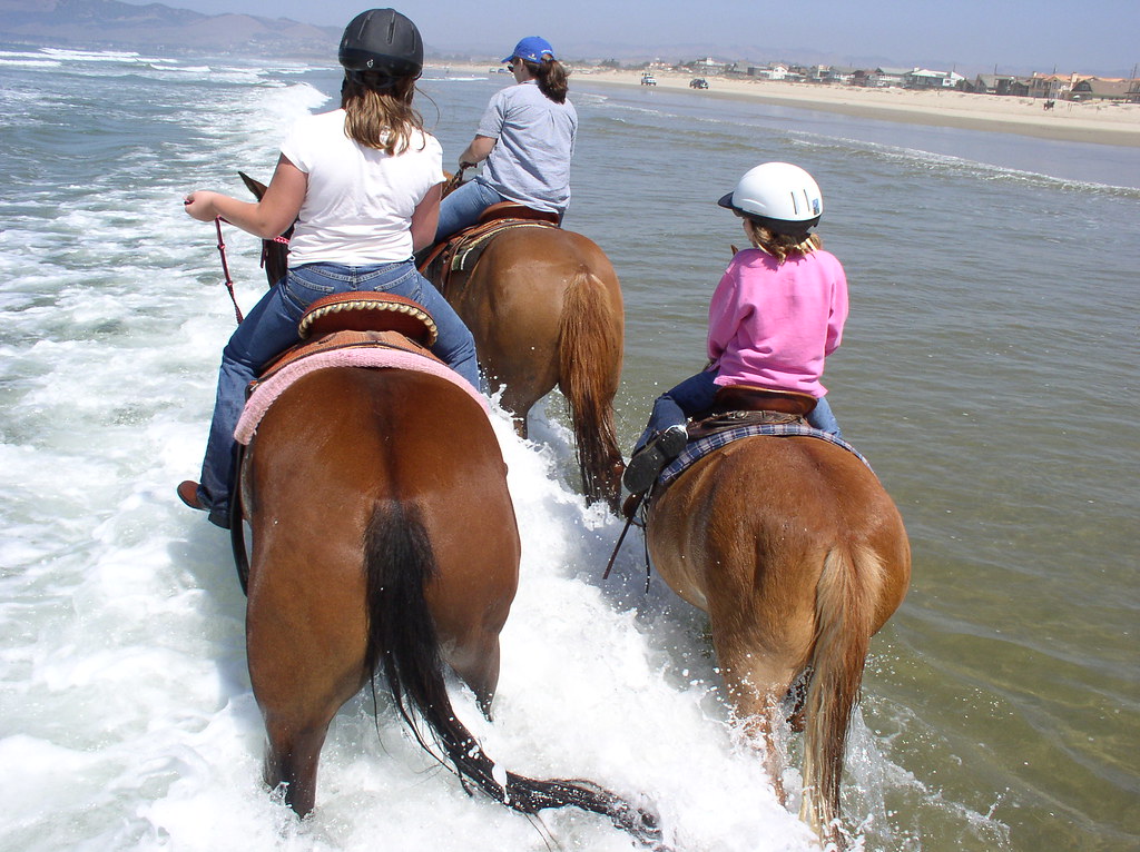 horse_pismo_beach_90807 045 spurncali Flickr