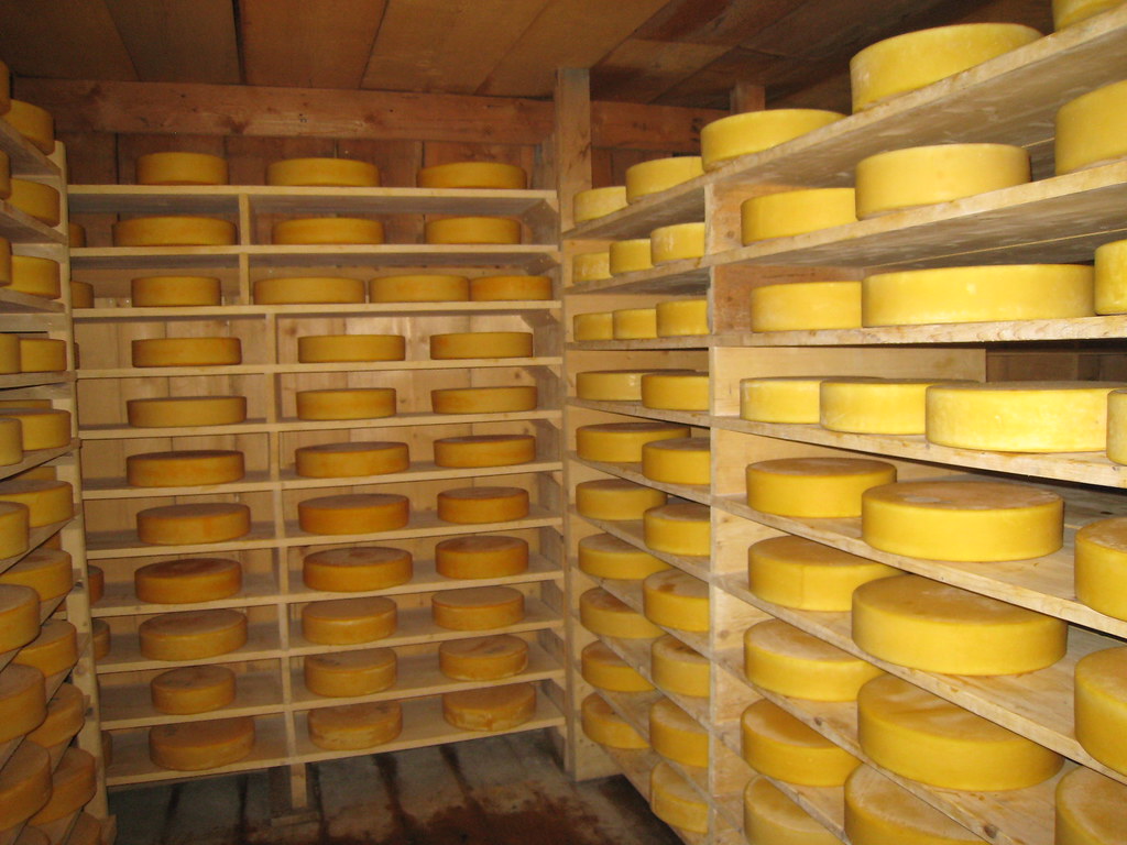 Lots of Cheese Visiting a cheese farm Flickr
