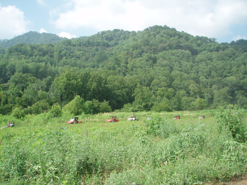 8112007 Evarts,Ky Side by Side Round Up 136 rdd8 Flickr