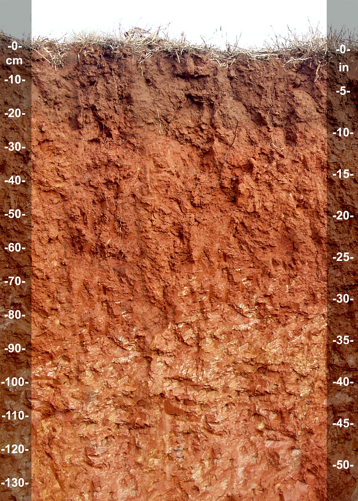 Pacolet Series Profile Photo by John A. Kelley, USDA Nat… Flickr