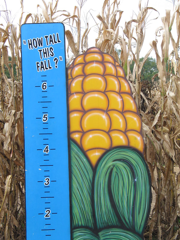 Uncle Shucks corn maze Dawsonville, GA meemeedarling2 Flickr