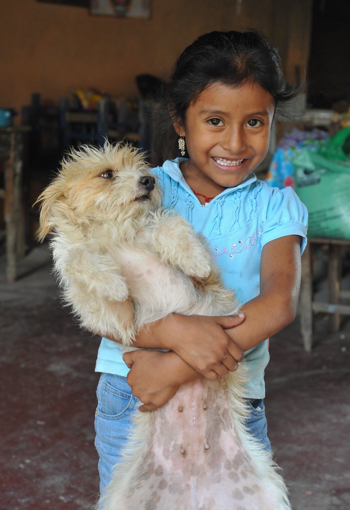 Girl and Dog Mexico If only dogs could smile, too. Ocotlan… Flickr