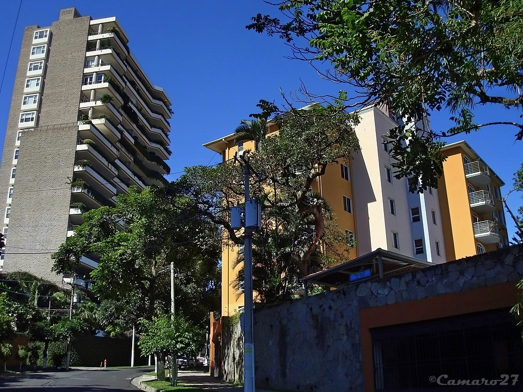 Colonia San Benito Condominios 525 y las Arboledas II, Ave… Flickr