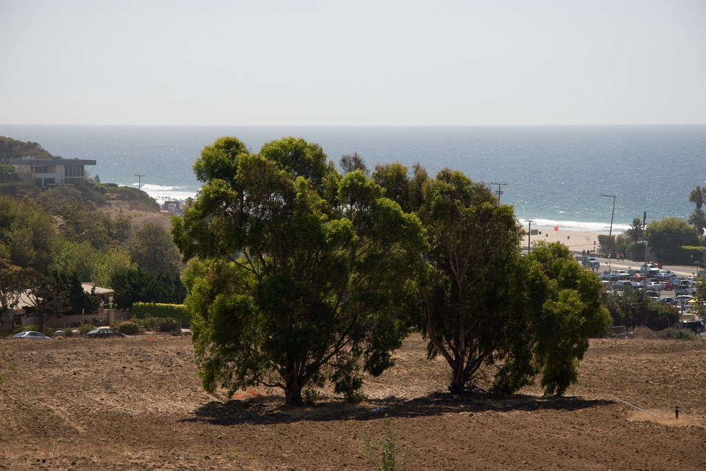 View of Zuma Beach Bryan Vorkapich Flickr