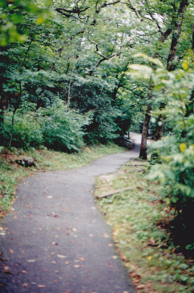 Brasstown Bald trail Hiking path from the parking lot to t… Flickr