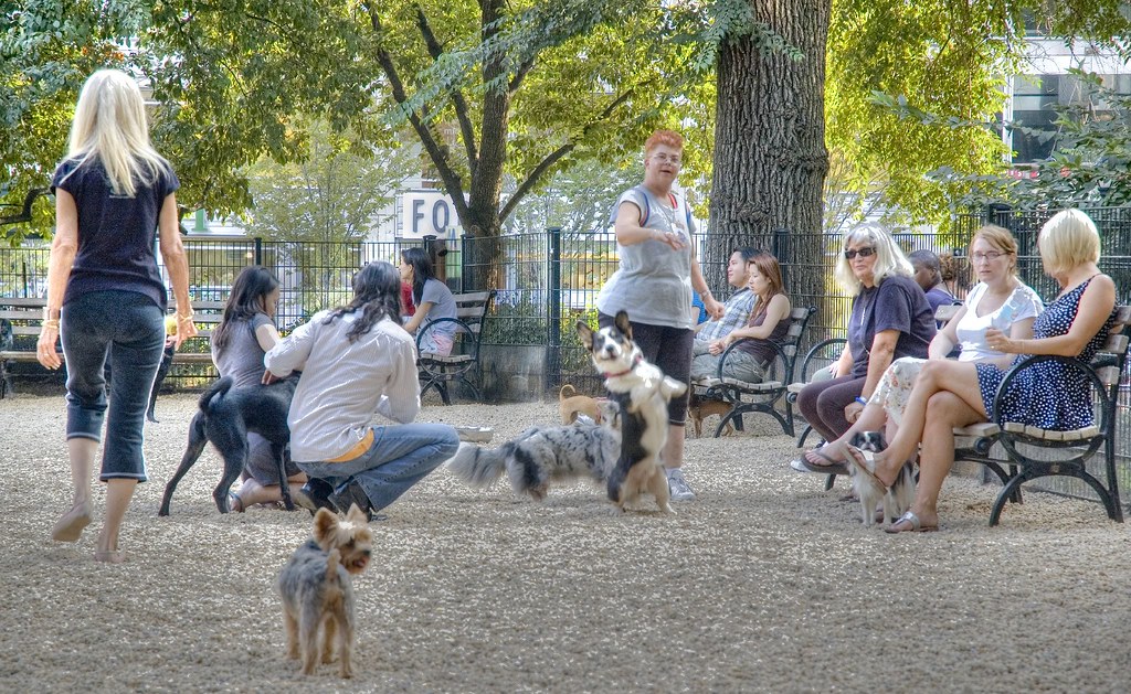 Dog Parking Dog park in Union Square, New York City