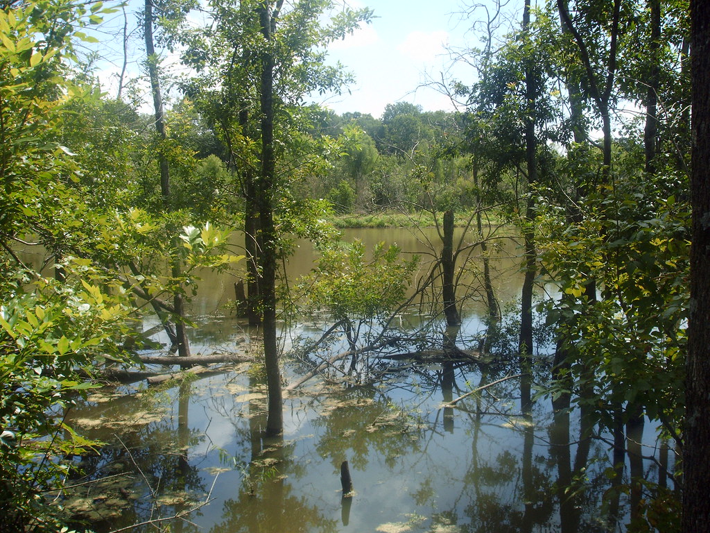 Texas wetlands nature trail, Heard Natural Science Center,… Flickr