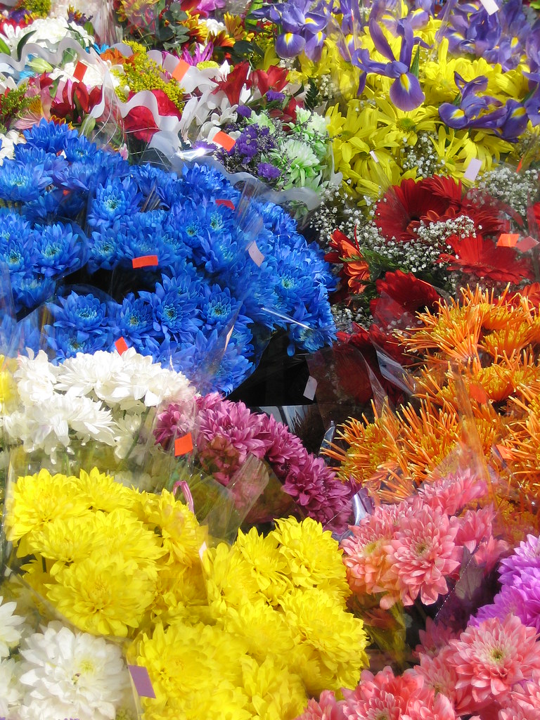 Spring Flowers for Sale Along Bloor Street West near Runny… Flickr