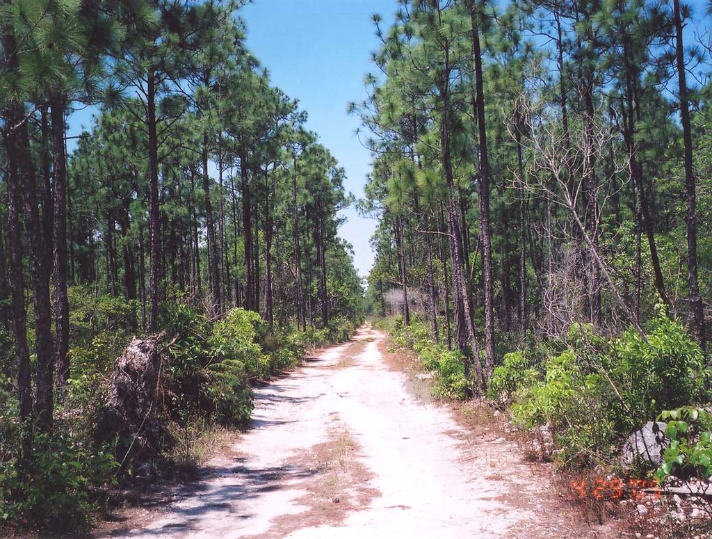 Bahama Road MeganP Flickr