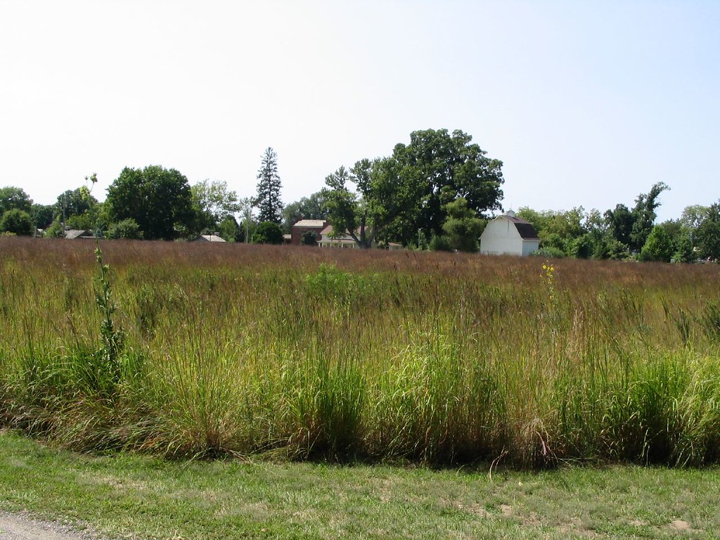 Nauvoo Historic District, Nauvoo, Illinois Nauvoo (“to be … Flickr