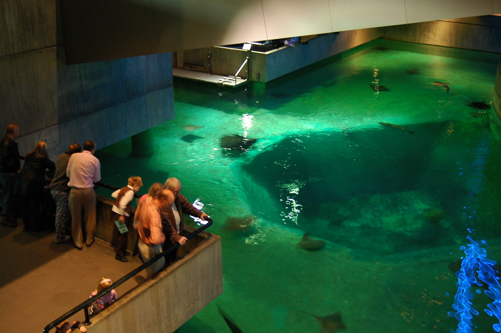 National Aquarium Baltimore is home to the National Aquari… Flickr
