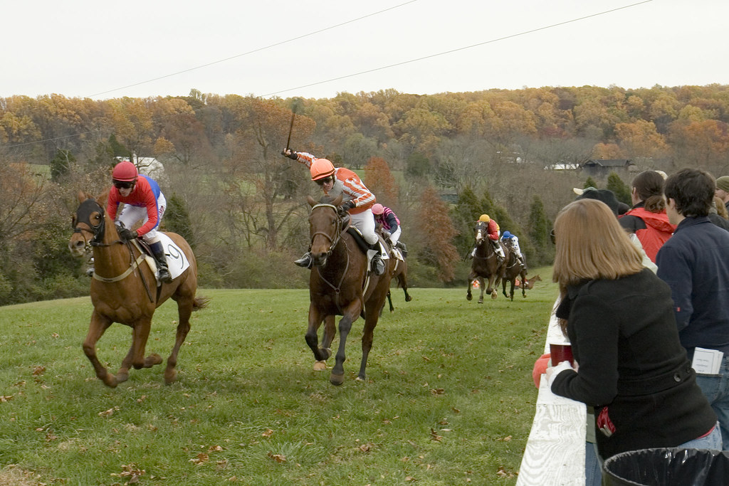Montpelier Hunt Races Montpelier Hunt Races Nov. 4, 2006… Flickr
