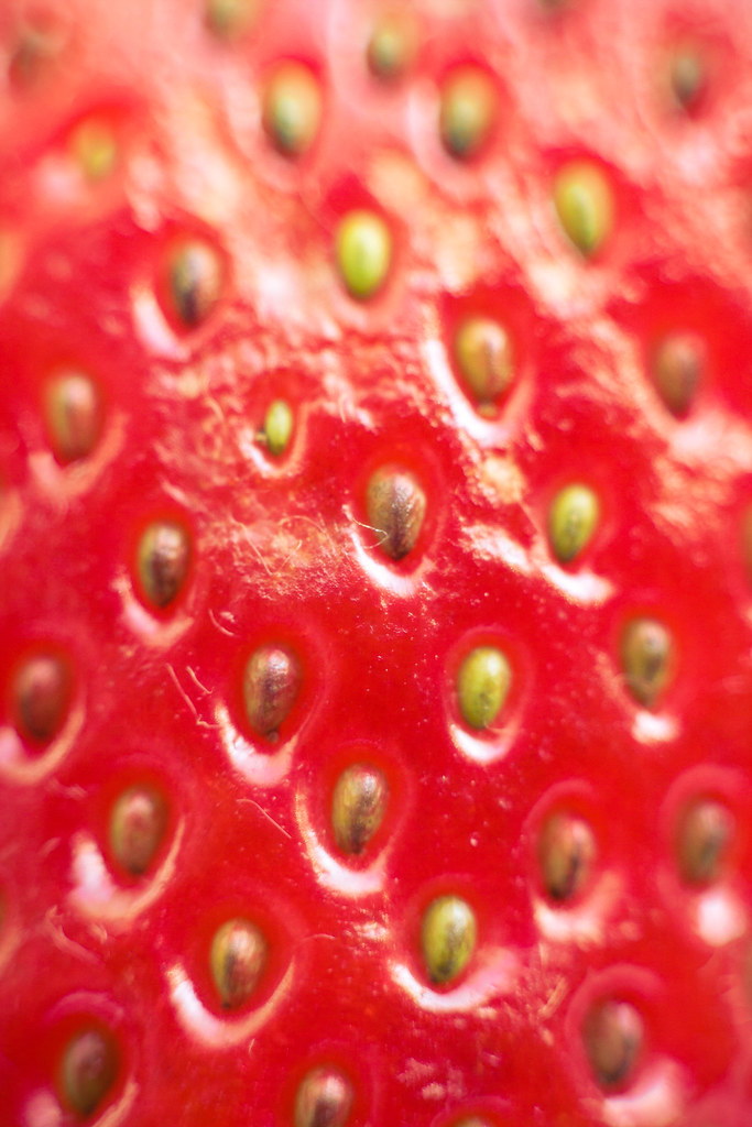 Strawberry Macro Photography 400D with EF 50mm f/1.8 II an… Flickr