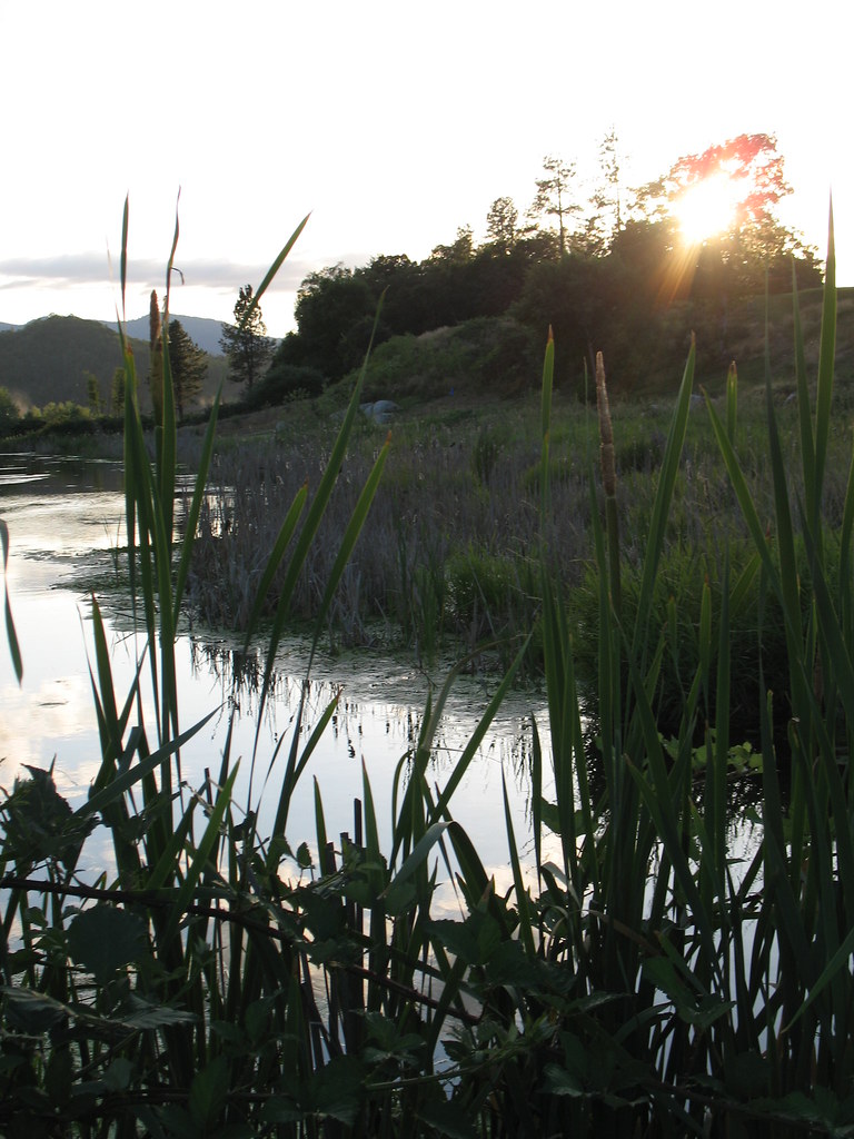 IMG_1777.JPG Dutcher Creek Golf Course, Grants Pass, Orego