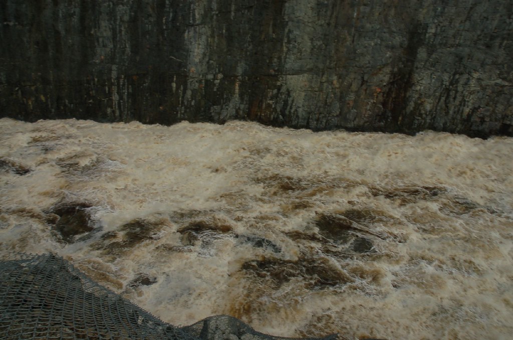 DSC00278 Gilles G Cormier Flickr